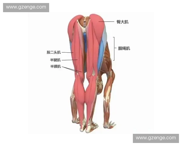 腘绳肌拉伸技巧与注意事项帮助提高灵活性与预防运动伤害